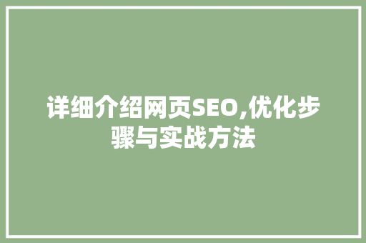 详细介绍网页SEO,优化步骤与实战方法