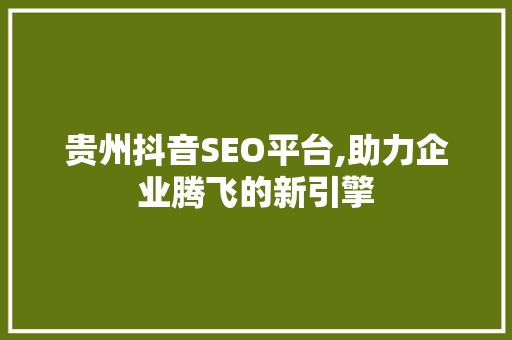 贵州抖音SEO平台,助力企业腾飞的新引擎