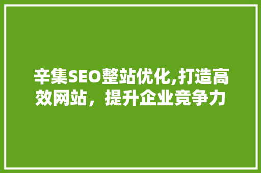 辛集SEO整站优化,打造高效网站，提升企业竞争力