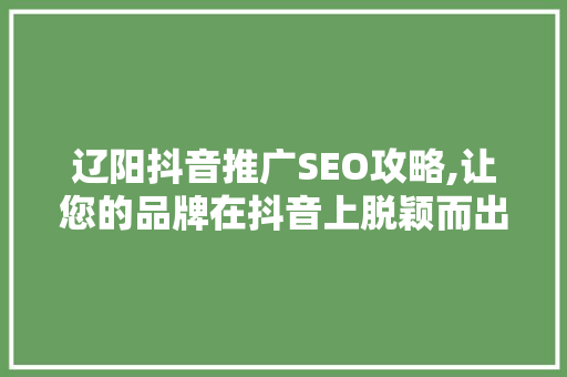 辽阳抖音推广SEO攻略,让您的品牌在抖音上脱颖而出