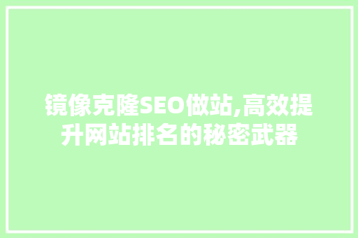 镜像克隆SEO做站,高效提升网站排名的秘密武器