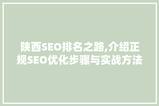 陕西SEO排名之路,介绍正规SEO优化步骤与实战方法