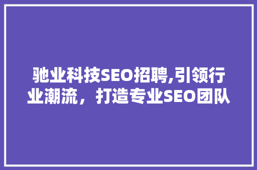 驰业科技SEO招聘,引领行业潮流，打造专业SEO团队