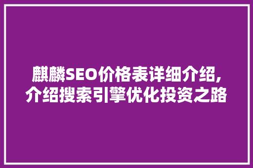 麒麟SEO价格表详细介绍,介绍搜索引擎优化投资之路