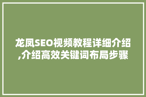 龙凤SEO视频教程详细介绍,介绍高效关键词布局步骤
