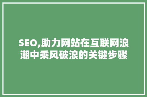 SEO,助力网站在互联网浪潮中乘风破浪的关键步骤