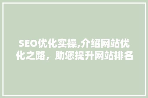 SEO优化实操,介绍网站优化之路，助您提升网站排名与流量