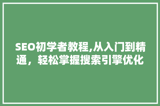 SEO初学者教程,从入门到精通，轻松掌握搜索引擎优化方法