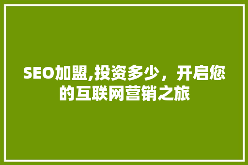 SEO加盟,投资多少，开启您的互联网营销之旅