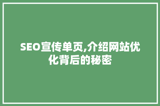 SEO宣传单页,介绍网站优化背后的秘密  第1张