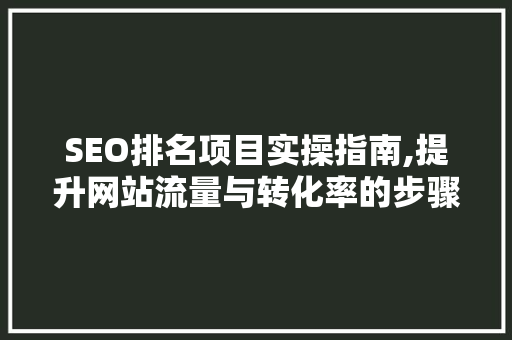 SEO排名项目实操指南,提升网站流量与转化率的步骤介绍