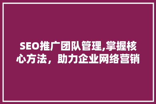 SEO推广团队管理,掌握核心方法，助力企业网络营销腾飞