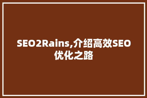 SEO2Rains,介绍高效SEO优化之路