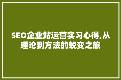 SEO企业站运营实习心得,从理论到方法的蜕变之旅