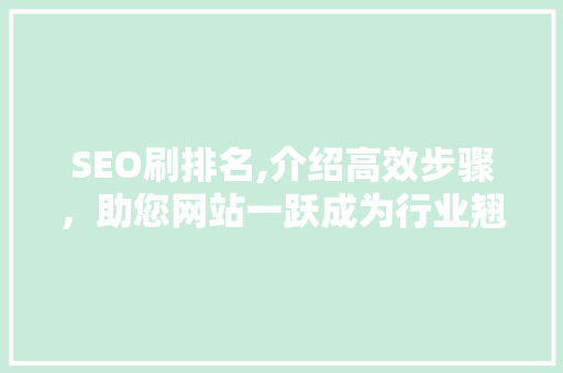 SEO刷排名,介绍高效步骤，助您网站一跃成为行业翘楚