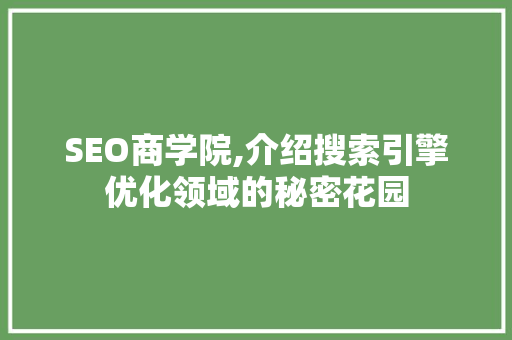 SEO商学院,介绍搜索引擎优化领域的秘密花园