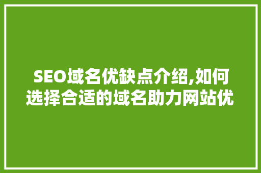 SEO域名优缺点介绍,如何选择合适的域名助力网站优化