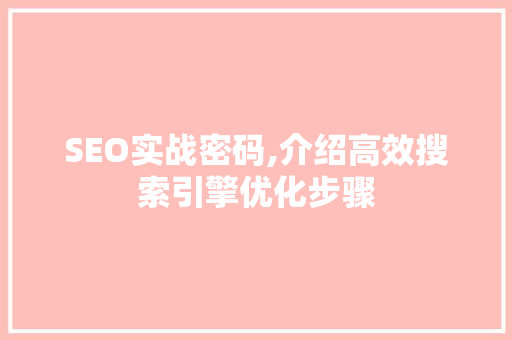 SEO实战密码,介绍高效搜索引擎优化步骤