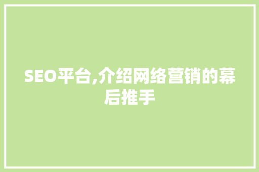 SEO平台,介绍网络营销的幕后推手  第1张