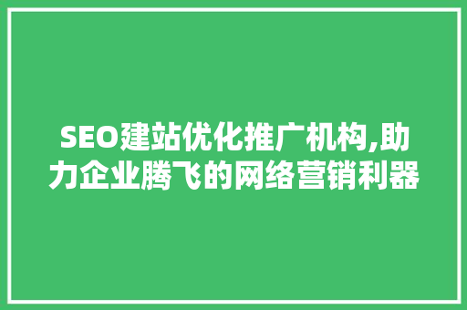 SEO建站优化推广机构,助力企业腾飞的网络营销利器