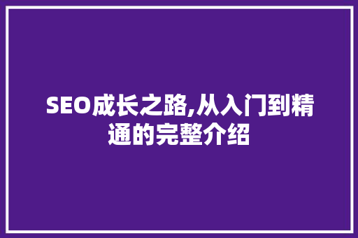 SEO成长之路,从入门到精通的完整介绍