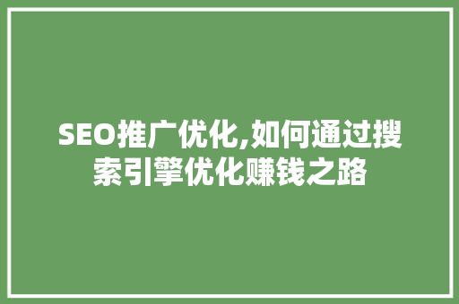 SEO推广优化,如何通过搜索引擎优化赚钱之路