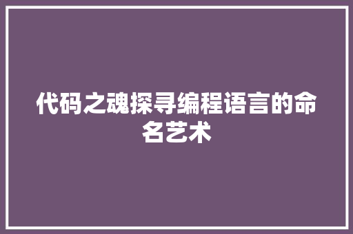 代码之魂探寻编程语言的命名艺术