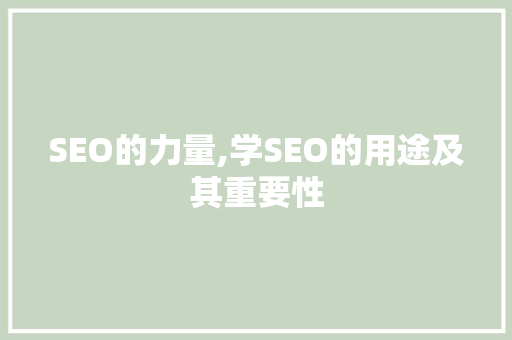 SEO的力量,学SEO的用途及其重要性
