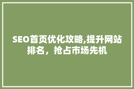 SEO首页优化攻略,提升网站排名，抢占市场先机
