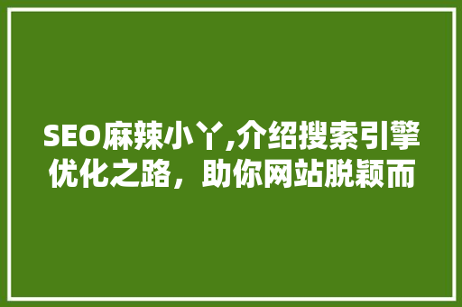 SEO麻辣小丫,介绍搜索引擎优化之路，助你网站脱颖而出