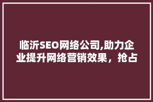 临沂SEO网络公司,助力企业提升网络营销效果，抢占市场先机
