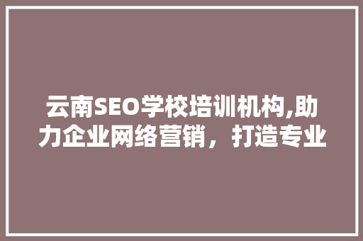 云南SEO学校培训机构,助力企业网络营销，打造专业SEO人才摇篮