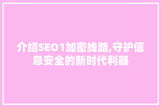 介绍SEO1加密线路,守护信息安全的新时代利器