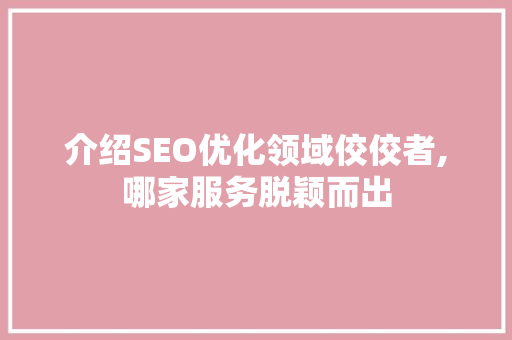 介绍SEO优化领域佼佼者,哪家服务脱颖而出