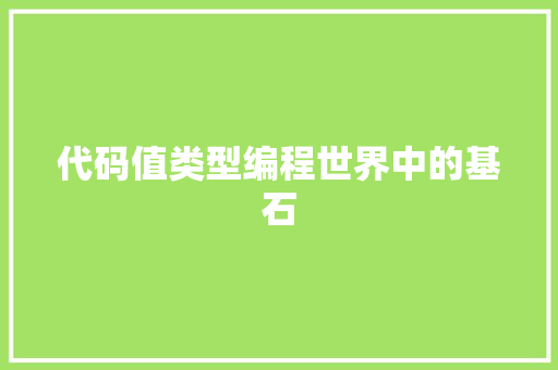 代码值类型编程世界中的基石