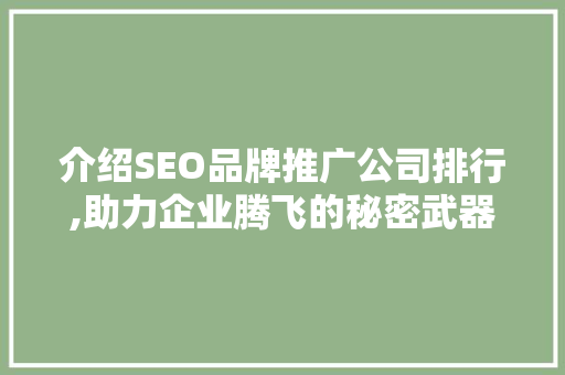 介绍SEO品牌推广公司排行,助力企业腾飞的秘密武器