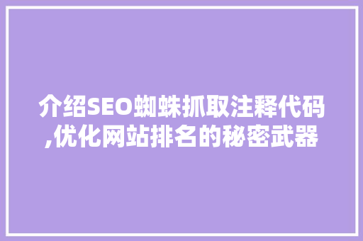 介绍SEO蜘蛛抓取注释代码,优化网站排名的秘密武器