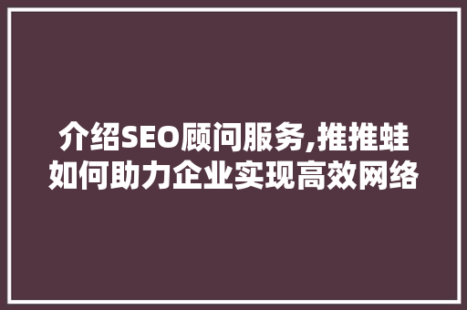 介绍SEO顾问服务,推推蛙如何助力企业实现高效网络营销