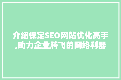 介绍保定SEO网站优化高手,助力企业腾飞的网络利器