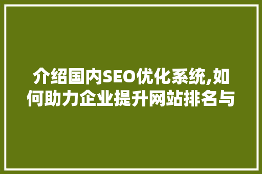介绍国内SEO优化系统,如何助力企业提升网站排名与流量