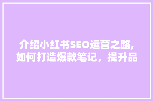 介绍小红书SEO运营之路,如何打造爆款笔记，提升品牌影响力