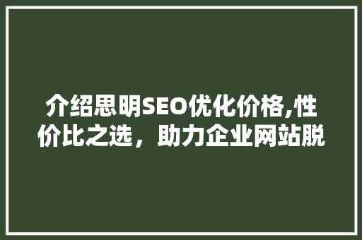 介绍思明SEO优化价格,性价比之选，助力企业网站脱颖而出