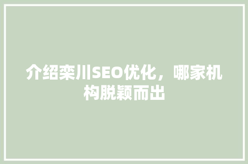 介绍栾川SEO优化，哪家机构脱颖而出  第1张