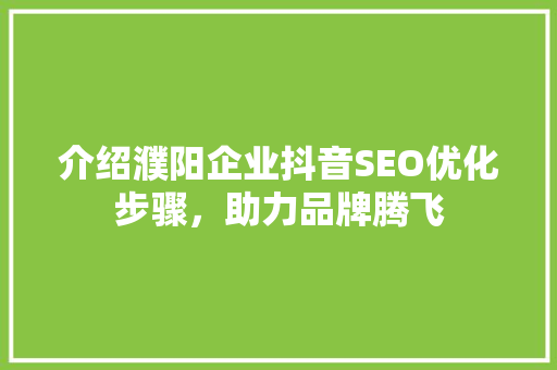 介绍濮阳企业抖音SEO优化步骤，助力品牌腾飞