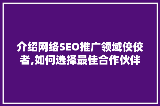 介绍网络SEO推广领域佼佼者,如何选择最佳合作伙伴