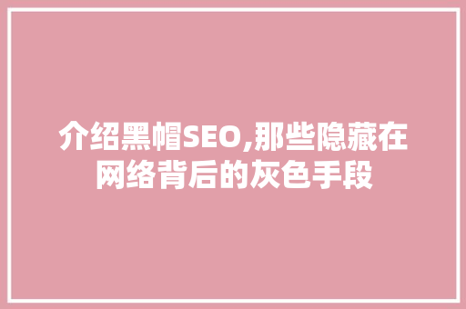 介绍黑帽SEO,那些隐藏在网络背后的灰色手段