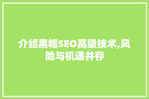 介绍黑帽SEO高级技术,风险与机遇并存