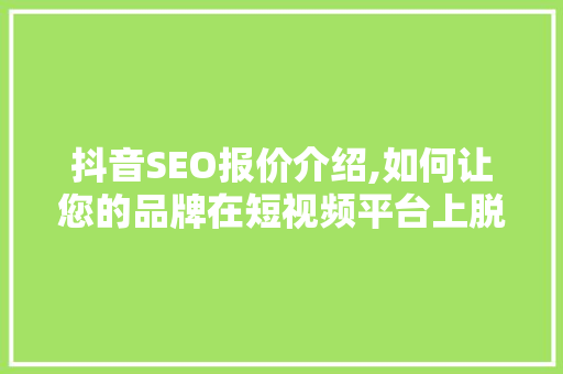 抖音SEO报价介绍,如何让您的品牌在短视频平台上脱颖而出