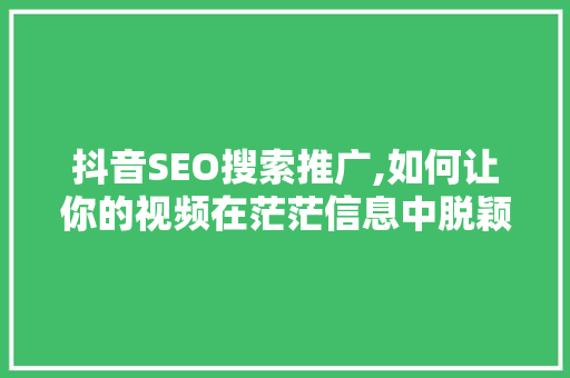 抖音SEO搜索推广,如何让你的视频在茫茫信息中脱颖而出