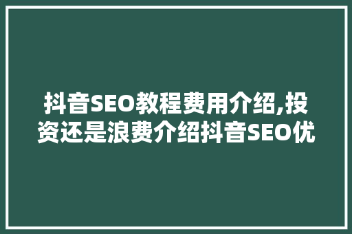 抖音SEO教程费用介绍,投资还是浪费介绍抖音SEO优化之路  第1张